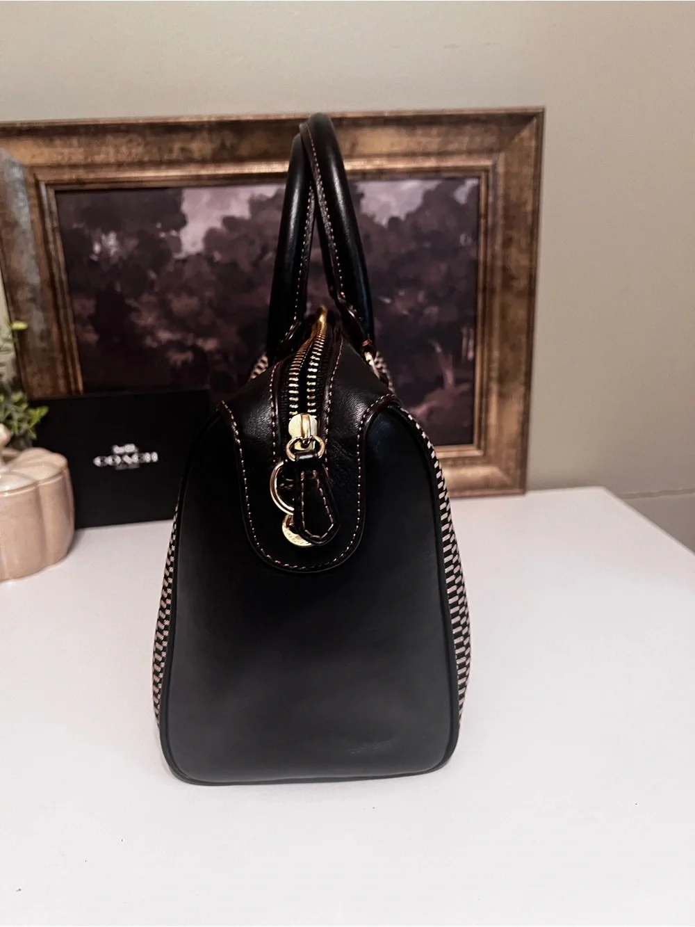 Coach Rowan Black and White Woven Top-Handle Satchel